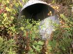 Culvert Crossing, South Berwick, Maine