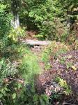 Culvert Crossing, South Berwick, Maine