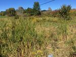 Multiple Culvert Crossing, Eliot, Maine