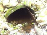 Culvert Crossing, Dolly Gordon Brook, York, Maine