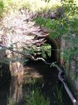 Culvert Crossing, Great Creek, Eliot, Maine