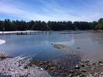 Culvert Crossing, Kittery, Maine