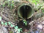 Culvert Crossing, Trib To Salmon Falls River, Berwick, Maine