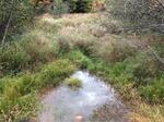 Culvert Crossing, Lebanon, Maine