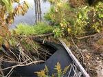 Multiple Culvert Crossing, Trib To Bog Brook, Lebanon, Maine