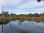 Multiple Culvert Crossing, Trib To Bog Brook, Lebanon, Maine
