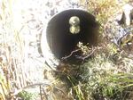 Multiple Culvert Crossing, York, Maine