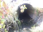 Multiple Culvert Crossing, York, Maine