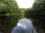 Culvert Crossing, Shapleigh, Maine