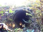 Culvert Crossing, Lebanon, Maine