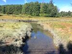 Culvert Crossing, Spruce Creek, Kittery, Maine