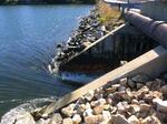 Unknown Crossing, Spinney Creek, Kittery, Maine
