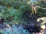 Multiple Culvert Crossing, Hutchins Brook, Kittery, Maine