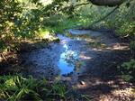 Multiple Culvert Crossing, Hutchins Brook, Kittery, Maine
