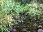 Multiple Culvert Crossing, Sanford, Maine
