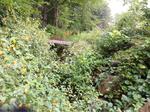 Multiple Culvert Crossing, Sanford, Maine