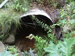 Culvert Crossing, Berwick, Maine