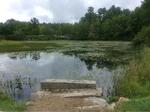 Culvert Crossing, Sanford, Maine