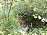 Culvert Crossing, Acton, Maine