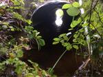 Culvert Crossing, Acton, Maine
