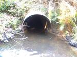 Culvert Crossing, Canes Brook, Sanford, Maine