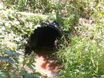 Culvert Crossing, York, Maine