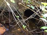 Culvert Crossing, Trib To Stevens Brook, Wells, Maine