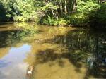 Multiple Culvert Crossing, Perkins Brook, Sanford, Maine
