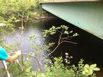 Bridge Crossing, Batson River, Kennebunkport, Maine