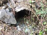 Culvert Crossing, Sanford, Maine
