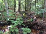 Culvert Crossing, Shapleigh, Maine