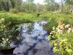 Multiple Culvert Crossing, Ogunquit River, York, Maine
