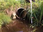 Culvert Crossing, Turbats Creek, Kennebunkport, Maine