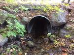 Culvert Crossing, Trib To Great East Lake, Acton, Maine