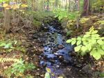 Culvert Crossing, Trib To Great East Lake, Acton, Maine