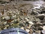 Culvert Crossing, Patty Creek, Kennebunkport, Maine