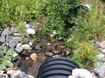 Culvert Crossing, Patty Creek, Kennebunkport, Maine