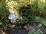 Multiple Culvert Crossing, Saco, Maine