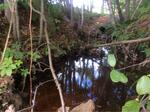 Culvert Crossing, Fernald Brook, Kennebunk, Maine