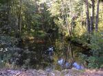 Culvert Crossing, Little River, Lebanon, Maine