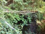 Culvert Crossing, Hay Brook, Sanford, Maine
