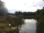 Culvert Crossing, Sanford, Maine