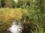 Culvert Crossing, Sanford, Maine