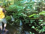 Culvert Crossing, Perkins Marsh, Sanford, Maine