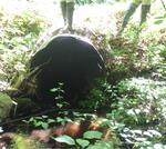 Culvert Crossing, Perkins Marsh, Sanford, Maine