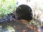 Culvert Crossing, Perkins Marsh, Sanford, Maine