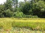 Culvert Crossing, Lebanon, Maine