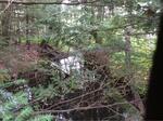 Culvert Crossing, Berwick, Maine