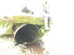 Culvert Crossing, Berwick, Maine
