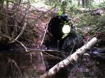 Culvert Crossing, Berwick, Maine